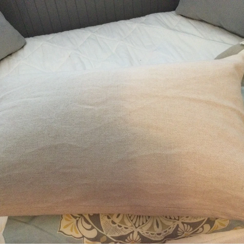 Pottery Barn throw pillow